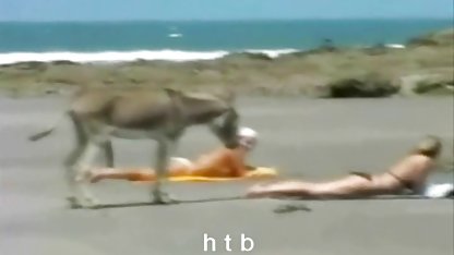 Mungkin video bokep jepang susu gede adegan terbaik yang pernah